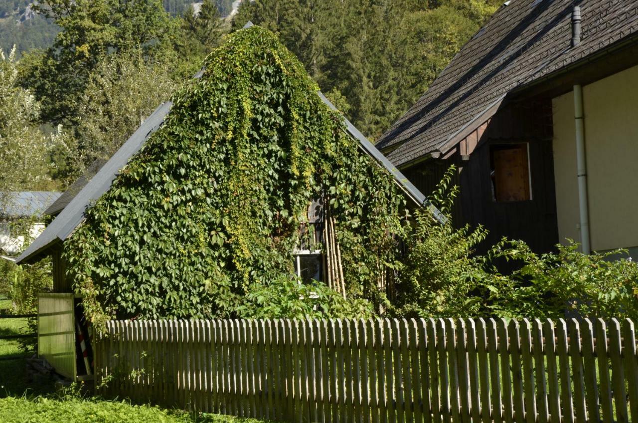 Villa Haus Rosina Admont Exterior foto
