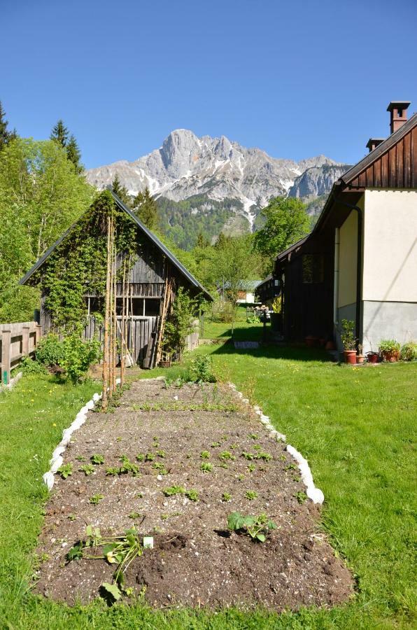 Villa Haus Rosina Admont Exterior foto